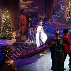 RCS Green Tec 70-200 10-30-2025